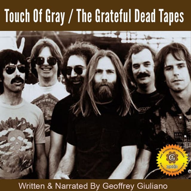 Cover of Touch of Gray