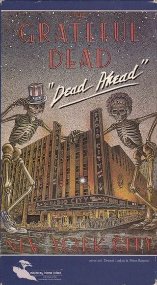 Cover of Dead Ahead